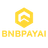 BNBPAYAI Logo